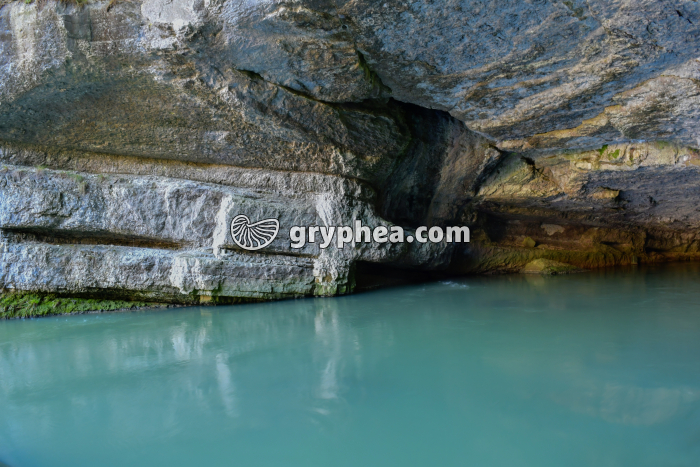 Résurgence de la Loue (Jura, France) - gryphea.com